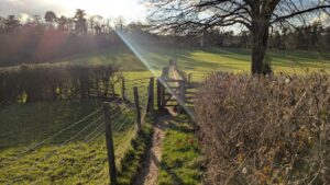 Surrey hiills challenge