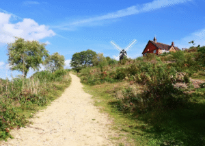 Reigate Heath Buckland Lake hike and swim